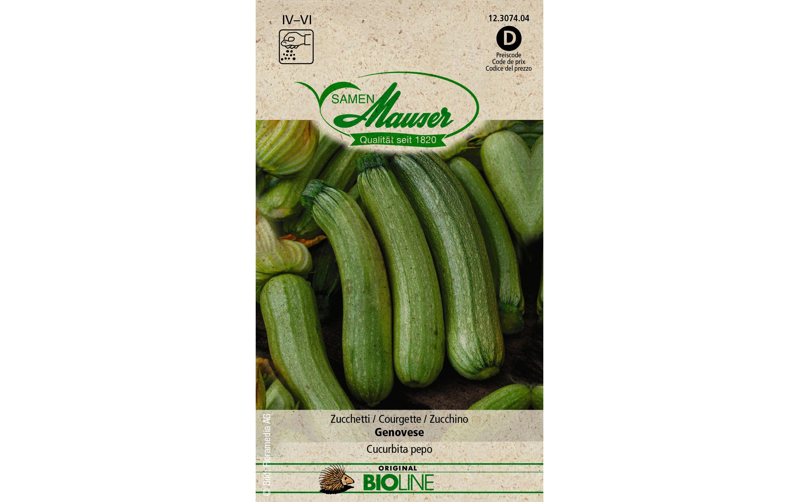 Samen BIO Zucchetti GenoveseGemüsesamen