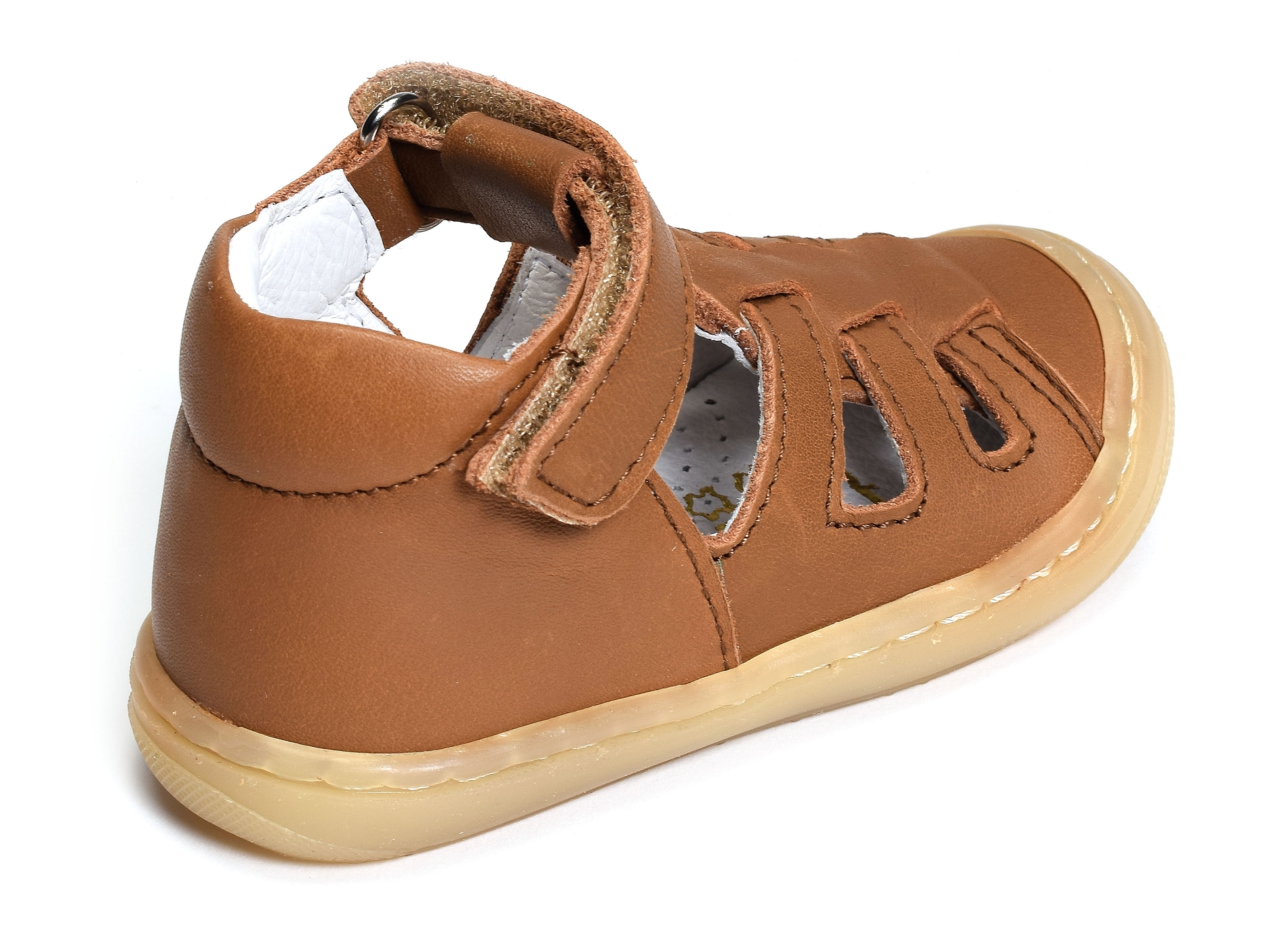 Lopp camel