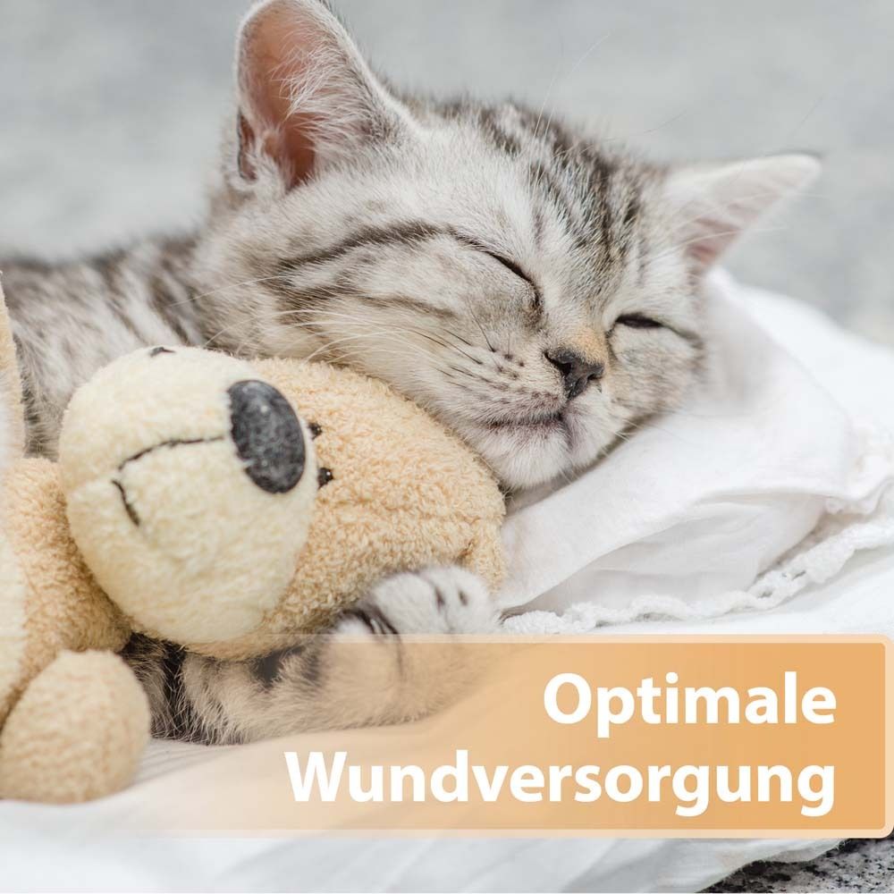 Felisept® Felisept Wundspray für Katzen