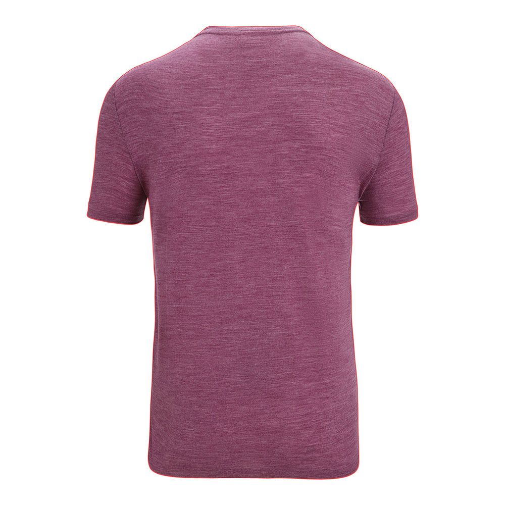 Icebreaker SPHERE II - Tee-shirt Homme go berry hthr