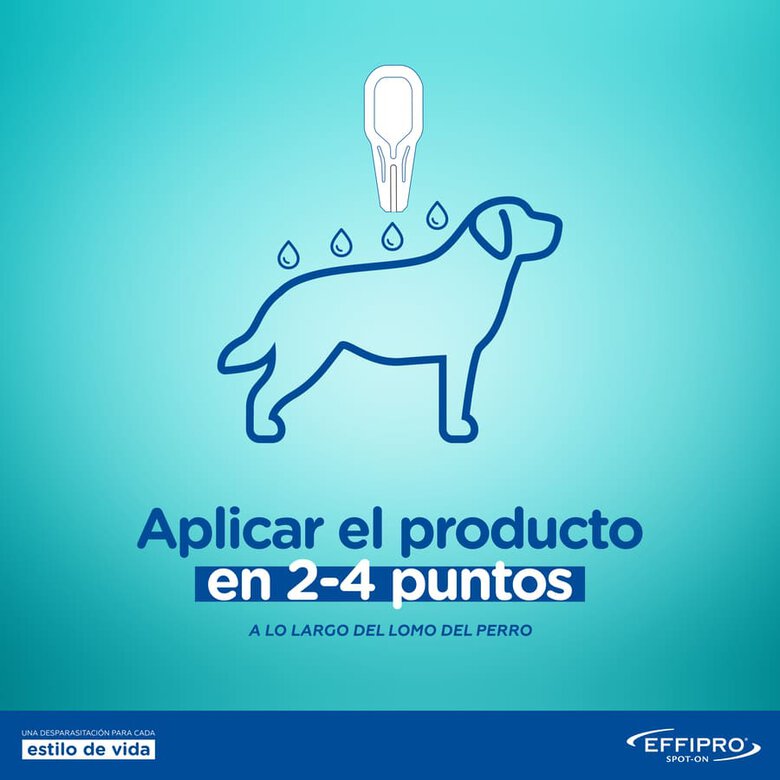 Pipetas antiparasitárias Virbac Effipro para cães de 20 a 40 kg