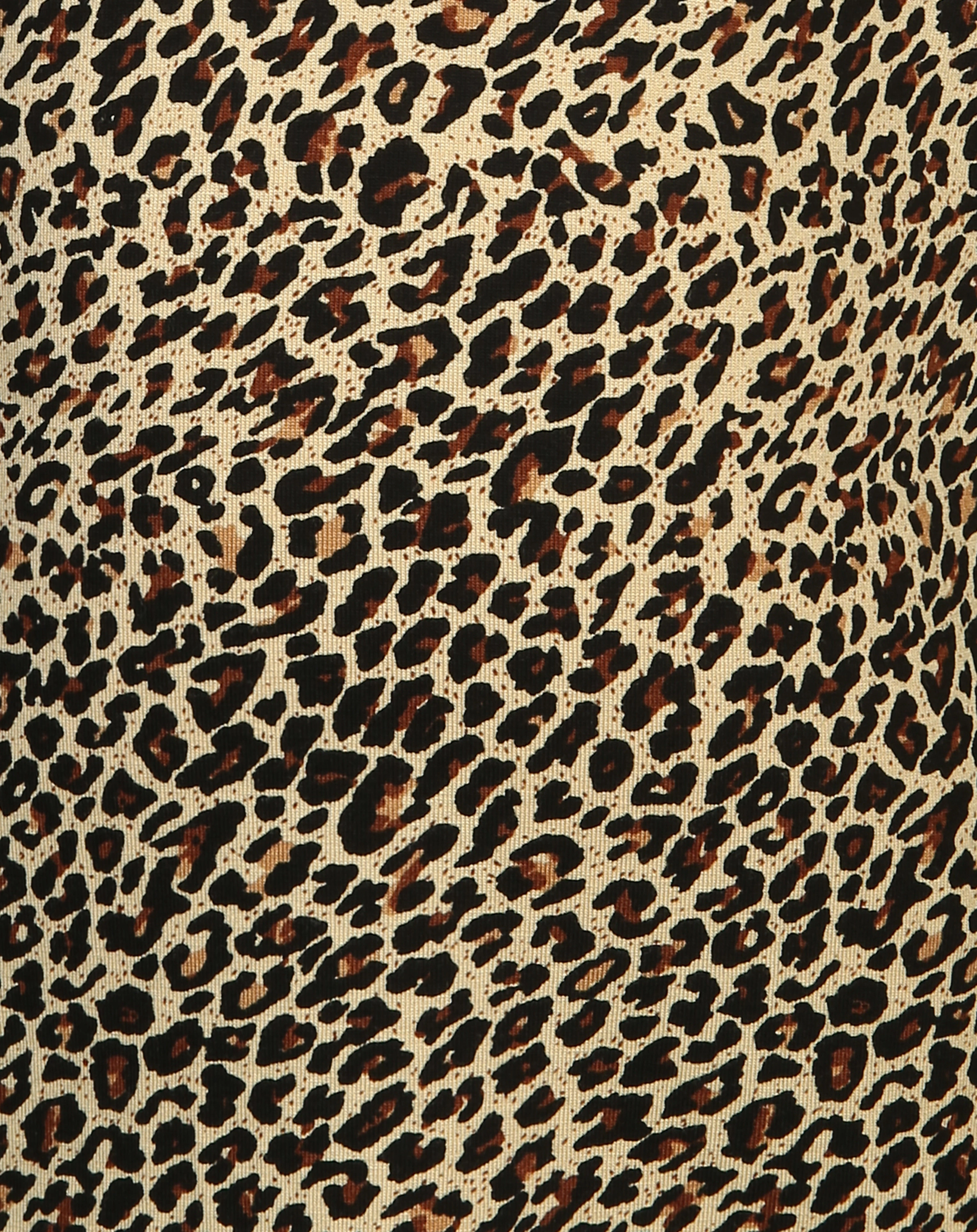 Langarmshirt LEO TASSIE in brown leo