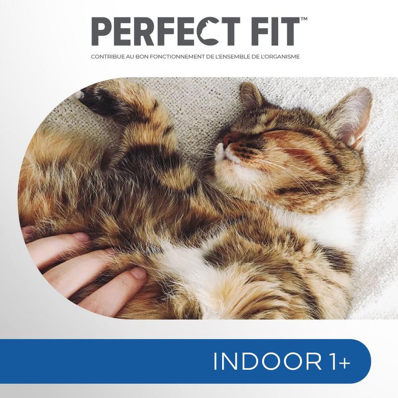 Perfect fit Indoor 1+ Chats stérilisés