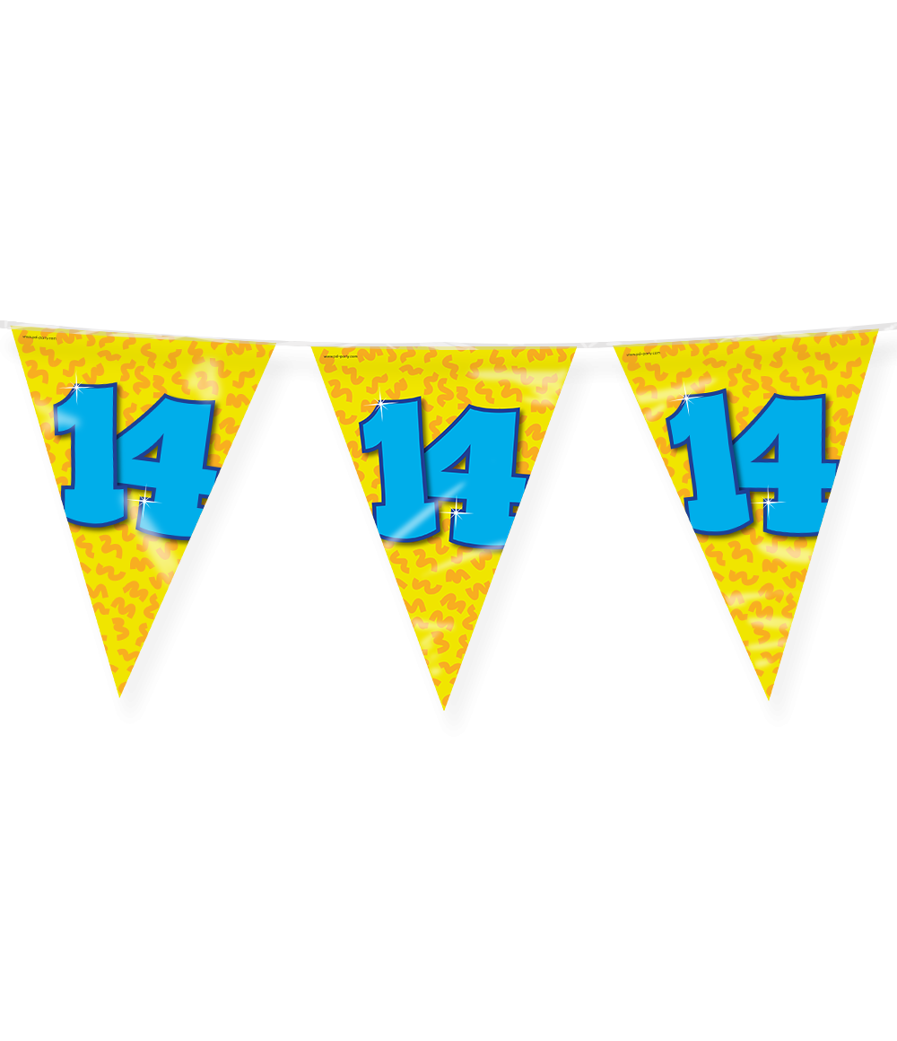 Vlaggenlijn 14 Jaar Gekleurd 10m