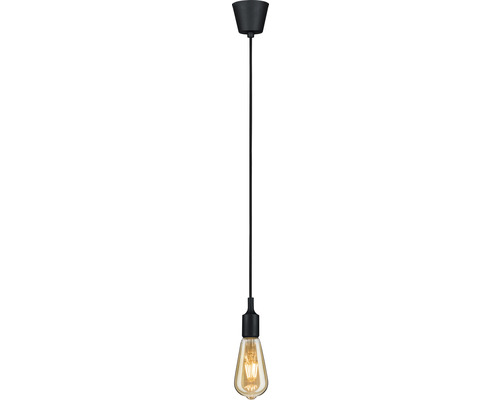 Hanglamp, 1-lichts, IP44, HxØ 200x9,2 cm, zwart