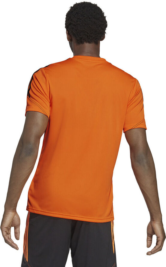 adidas Tiro 23 Club trænings T-shirt Orange
