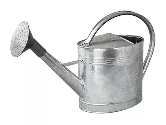 Arrosoir acier galvanisé avec pomme 13 litres