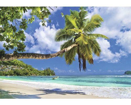 Vliesbehang 10332 VEXXL Palm Beach blauwgroen 3-delige set 312 x 219 cm