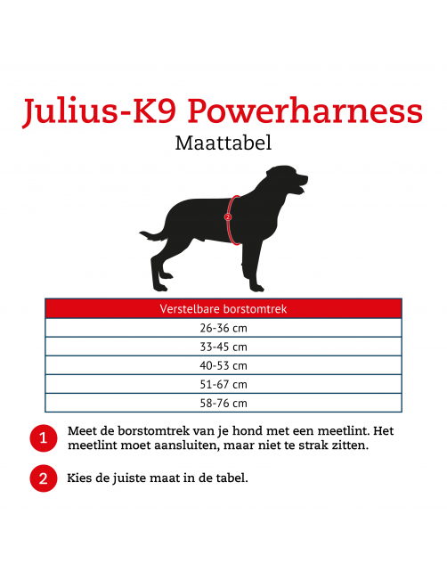 Julius-K9 Powerharness Fuchsia - Hondenharnas