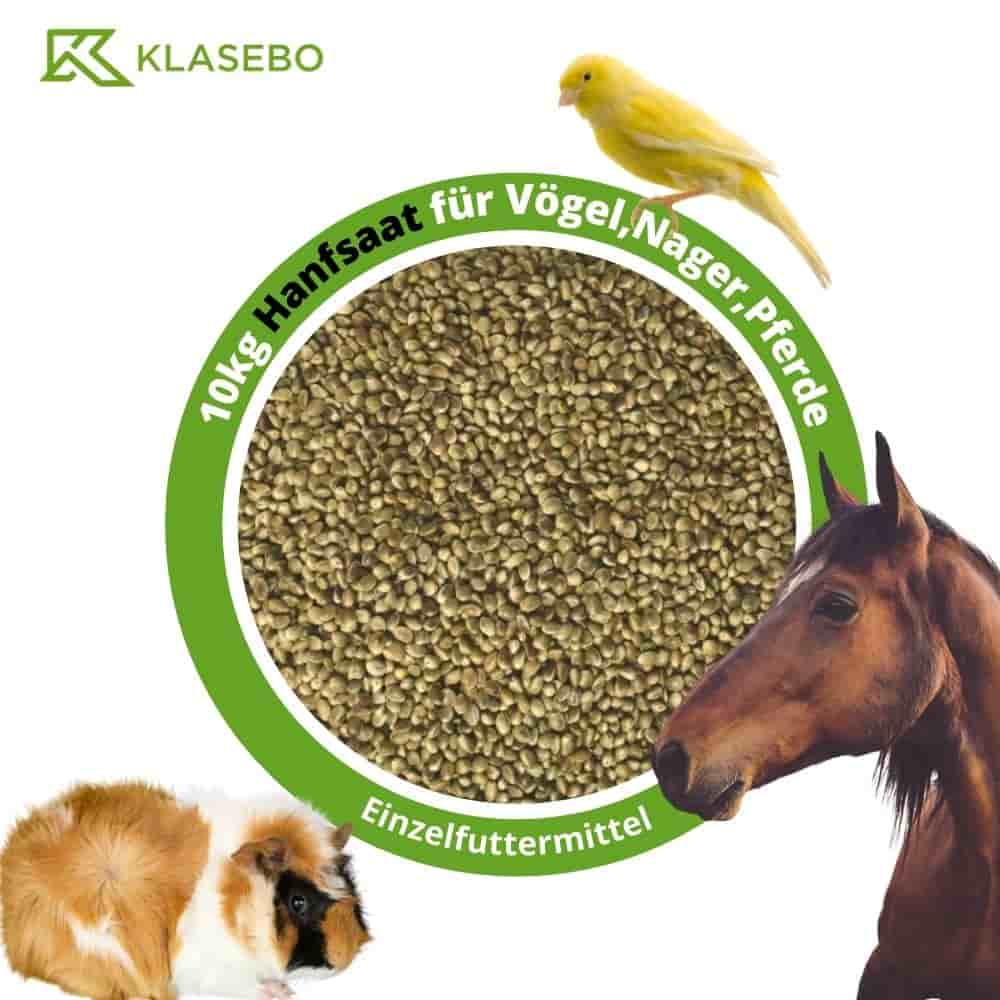 Hennepzaad, hennepzaad, hennepvoer 10kg voor vogels, knaagdieren en paarden