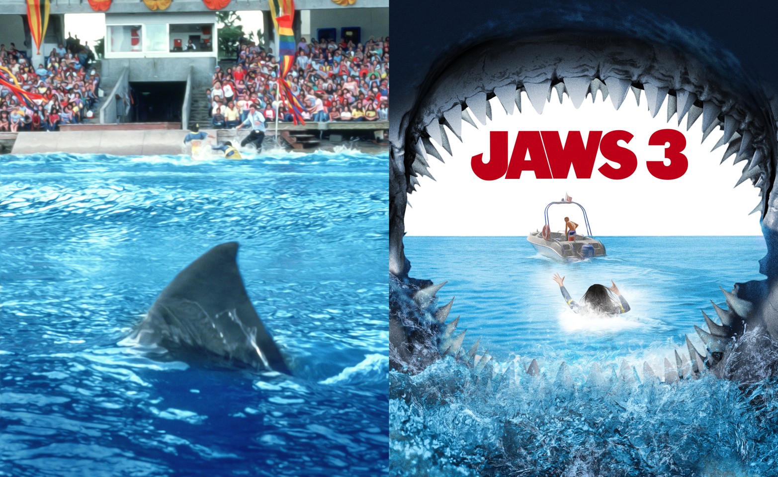 JAWS 3