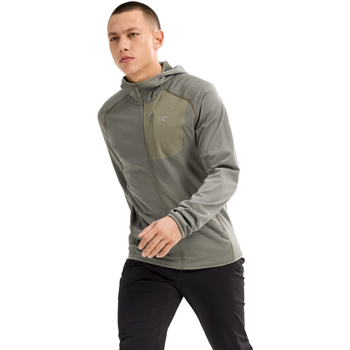 Arc'teryx Delta Hoody Herren forage