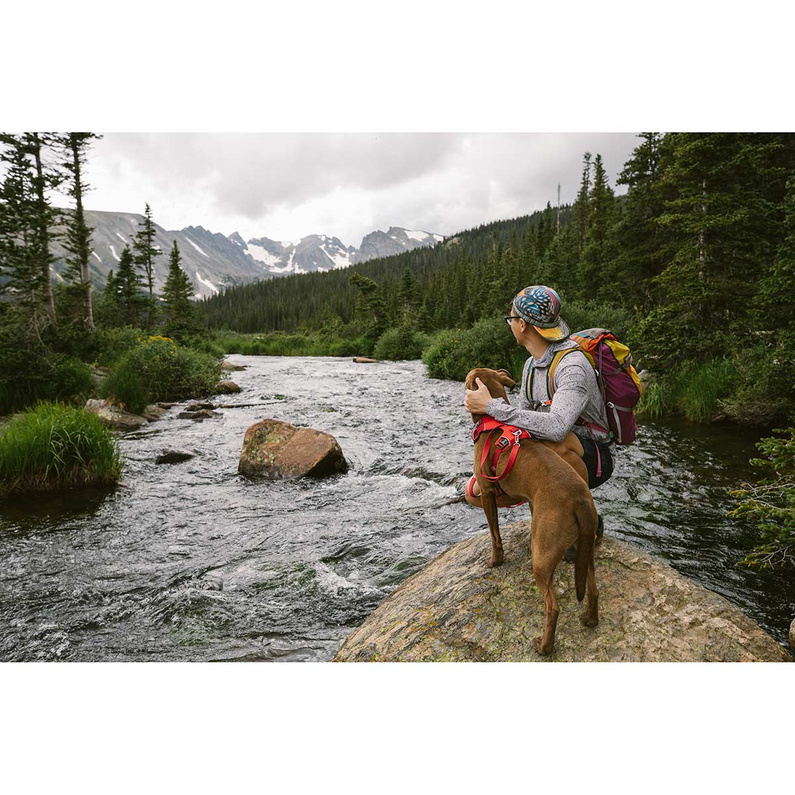 Ruffwear Front Range Harness Hundegeschirr