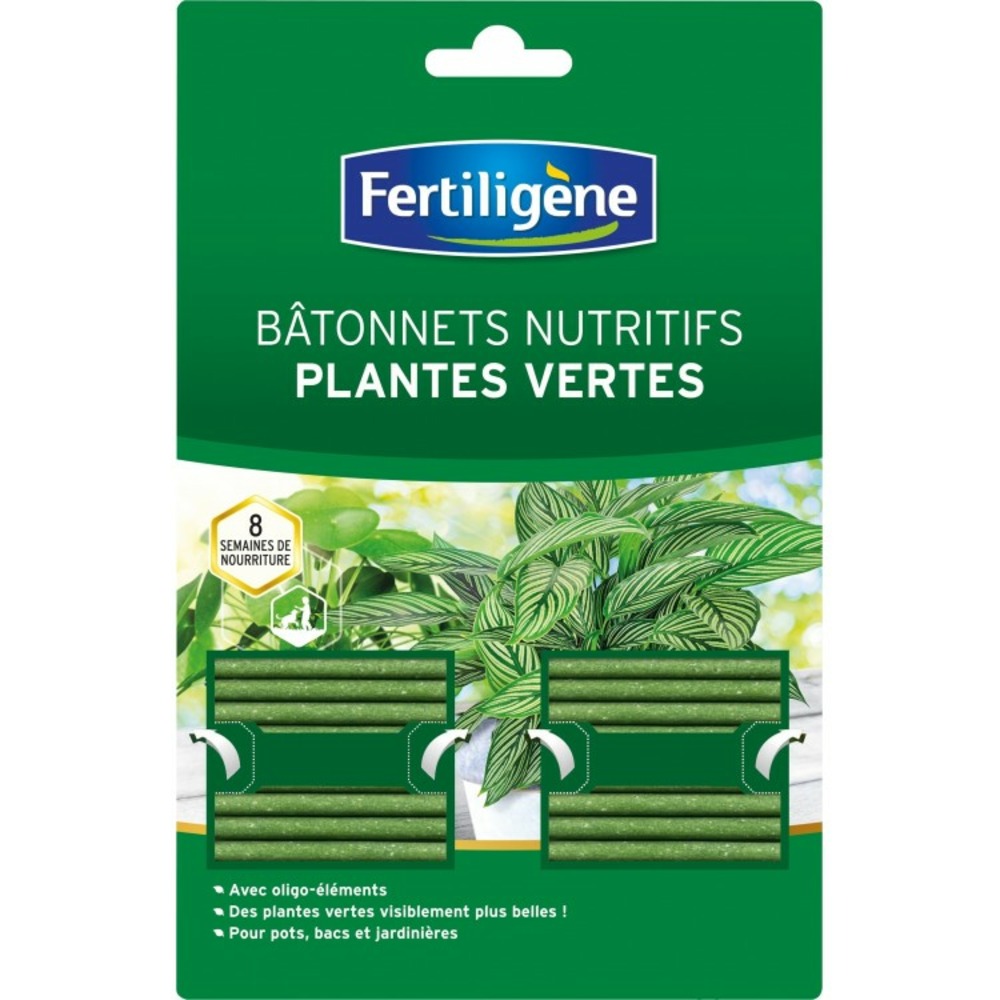 Lot 40 batonnet nutritif engrais plante verte feuillage