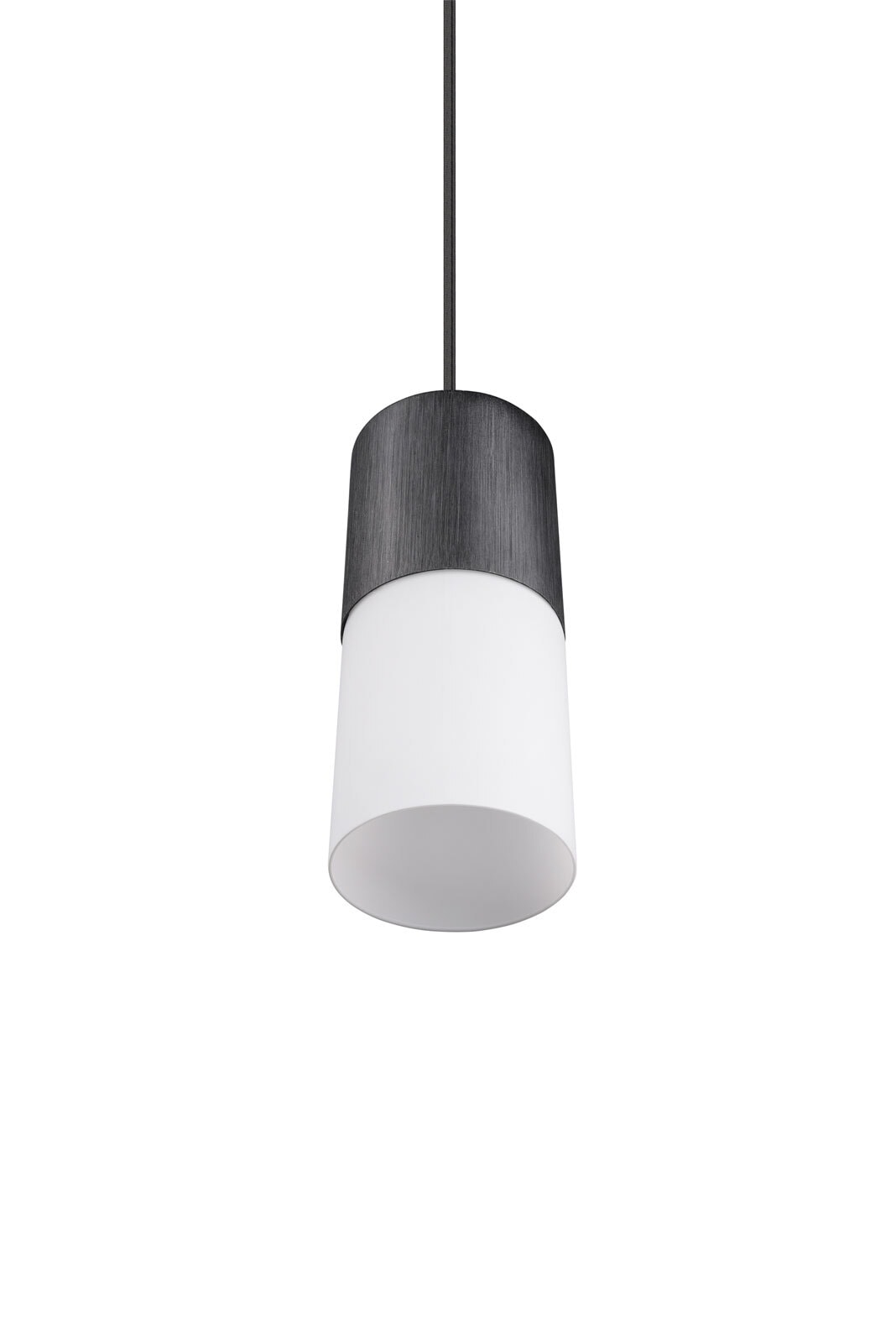 TRIO Retrofit Pendelleuchte ROBIN X 1-flg schwarz