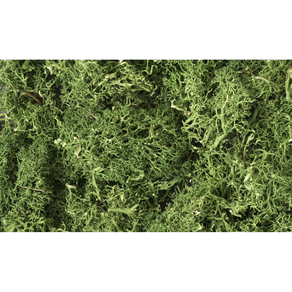 Woodland Scenics - Lichen