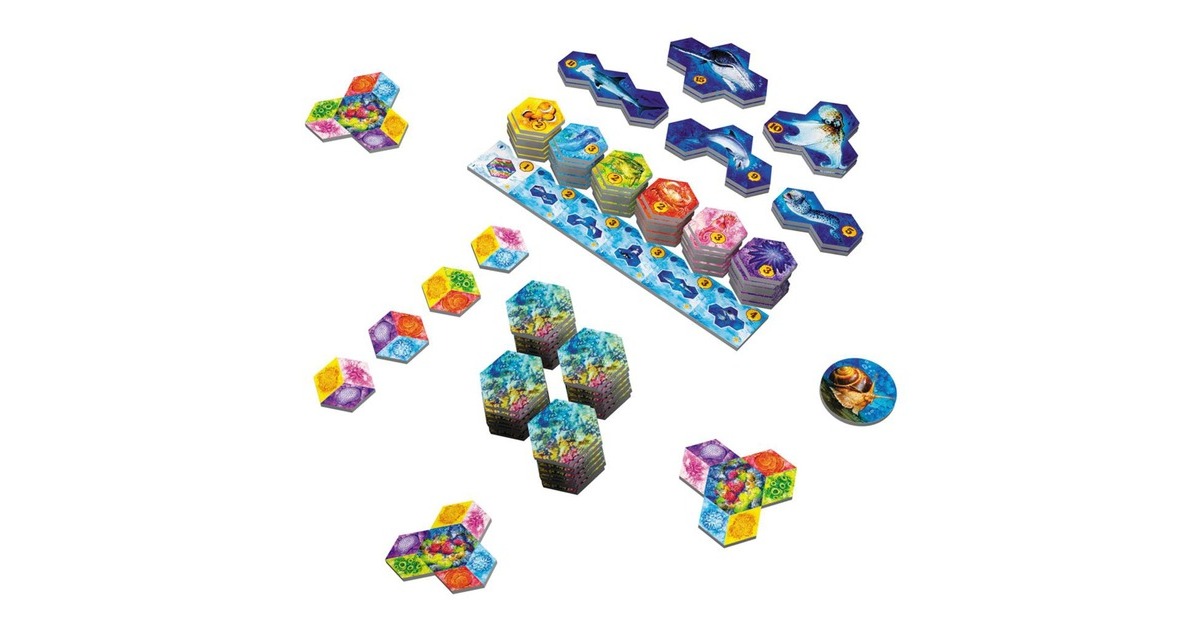 European Player NetworkAQUA: Biodiversity in the Oceans Bordspel  (Engels, 1 - 4 spelers, 30 - 45 minuten, Vanaf 8 jaar)