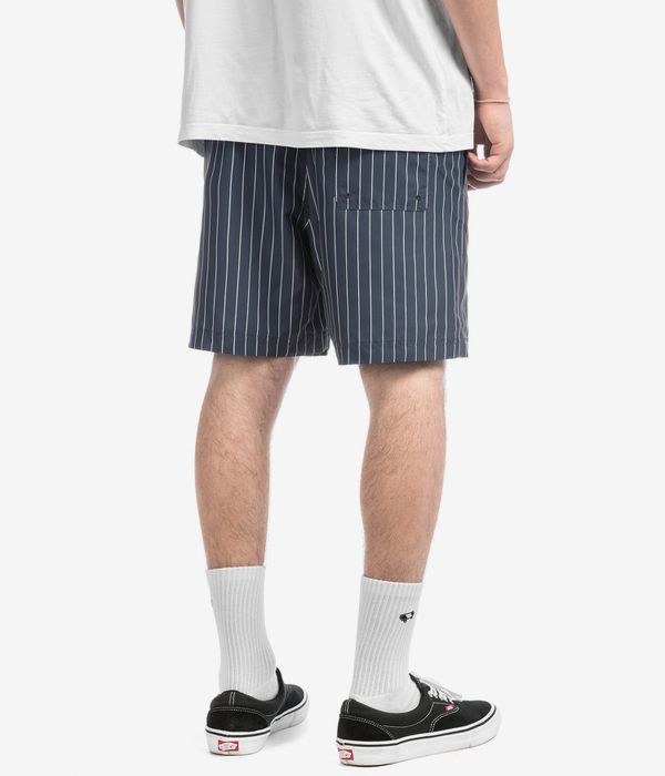 Carhartt WIP Slater Swim Boardshorts (cason stripe vertical blue)