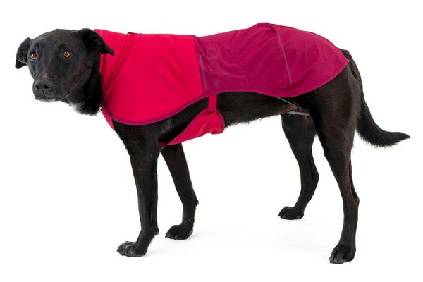 RUFFWEAR® Hunde-Regenmantel Sun Shower™