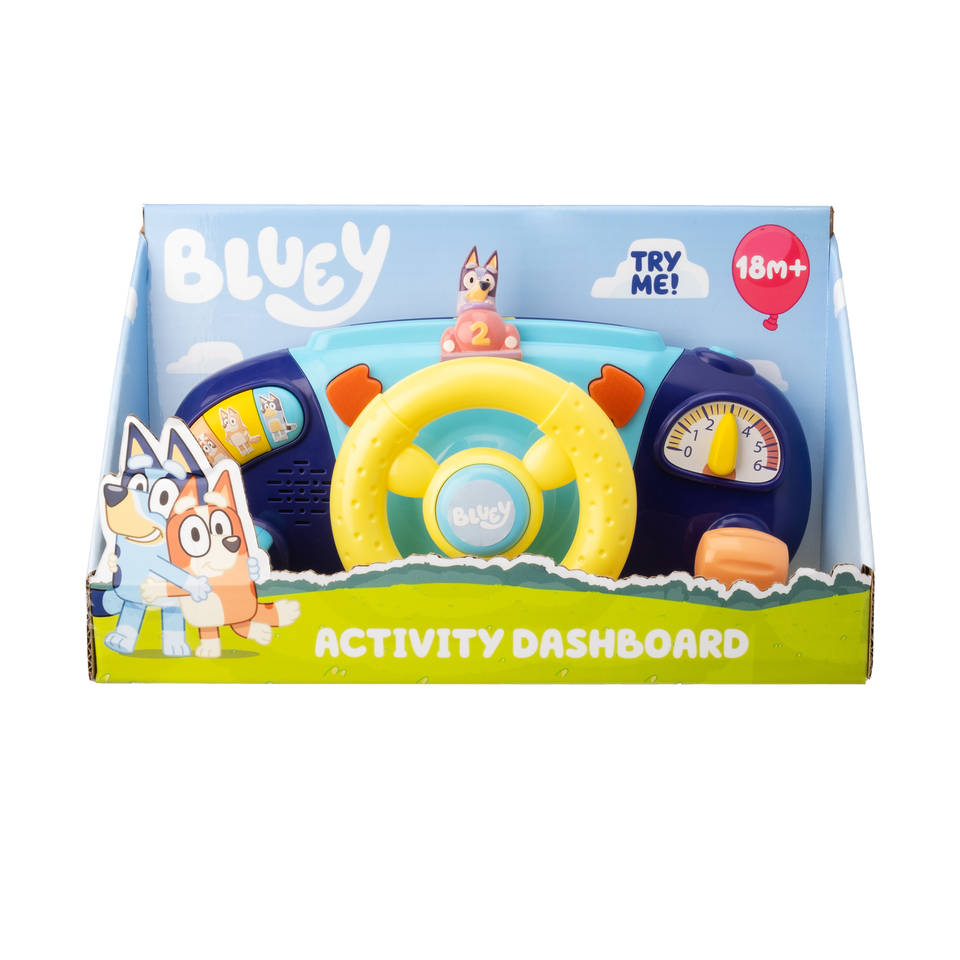 Bluey activiteiten autostuurtje