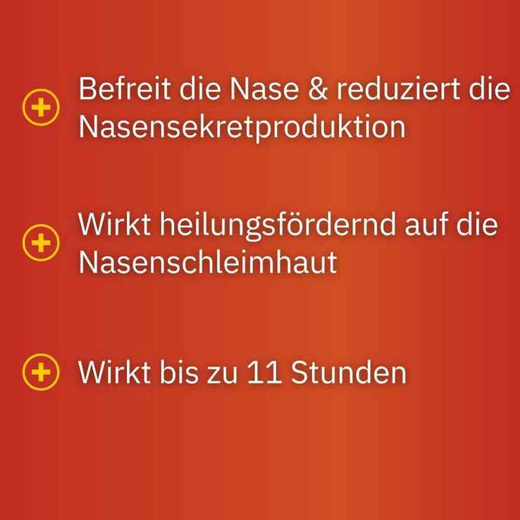 Septanasal® 1 mg/ml+50 mg/ml Nasenspray, 10 ml