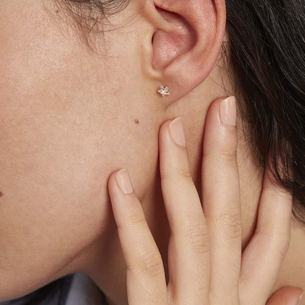 Boucles D'oreilles Puces Elais Etoile Or Jaune Oxyde De Zirconium