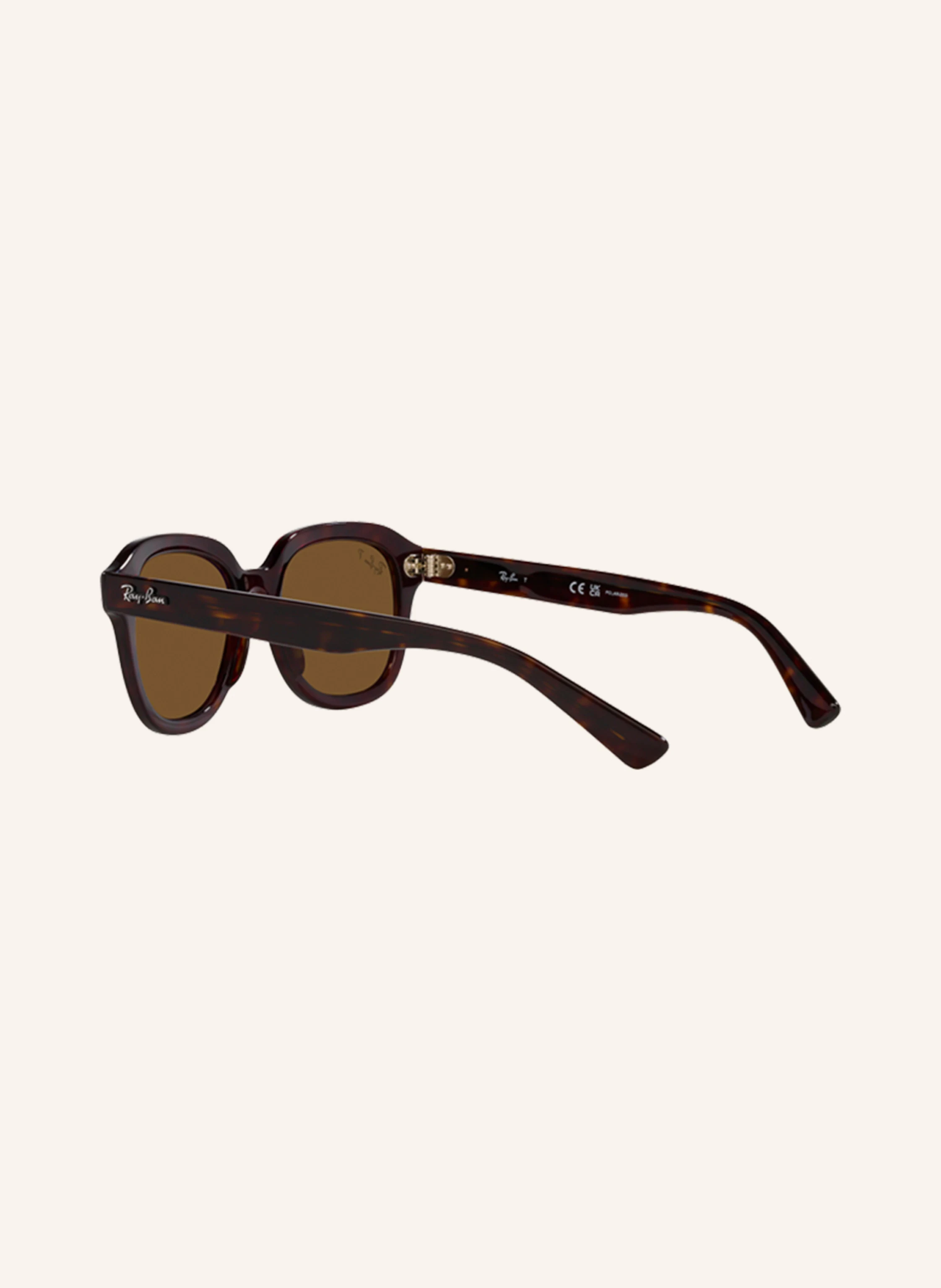 Ray-Ban Sonnenbrille RB4398