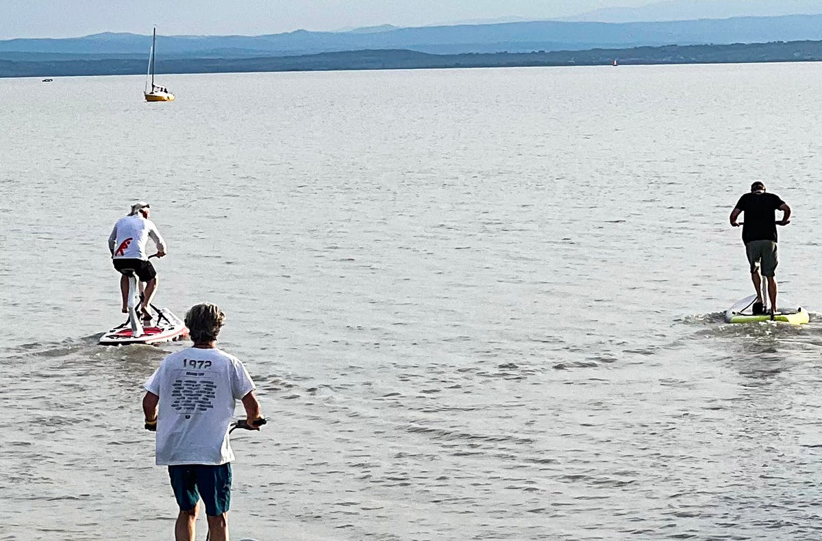 Wasserstepper am Neusiedler See - Jochen Schweizer