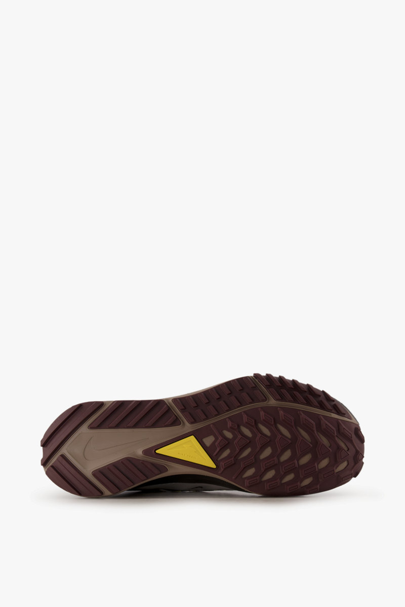 Nike Pegasus Trail 4 Gore-Tex® Herren Trailrunningschuh