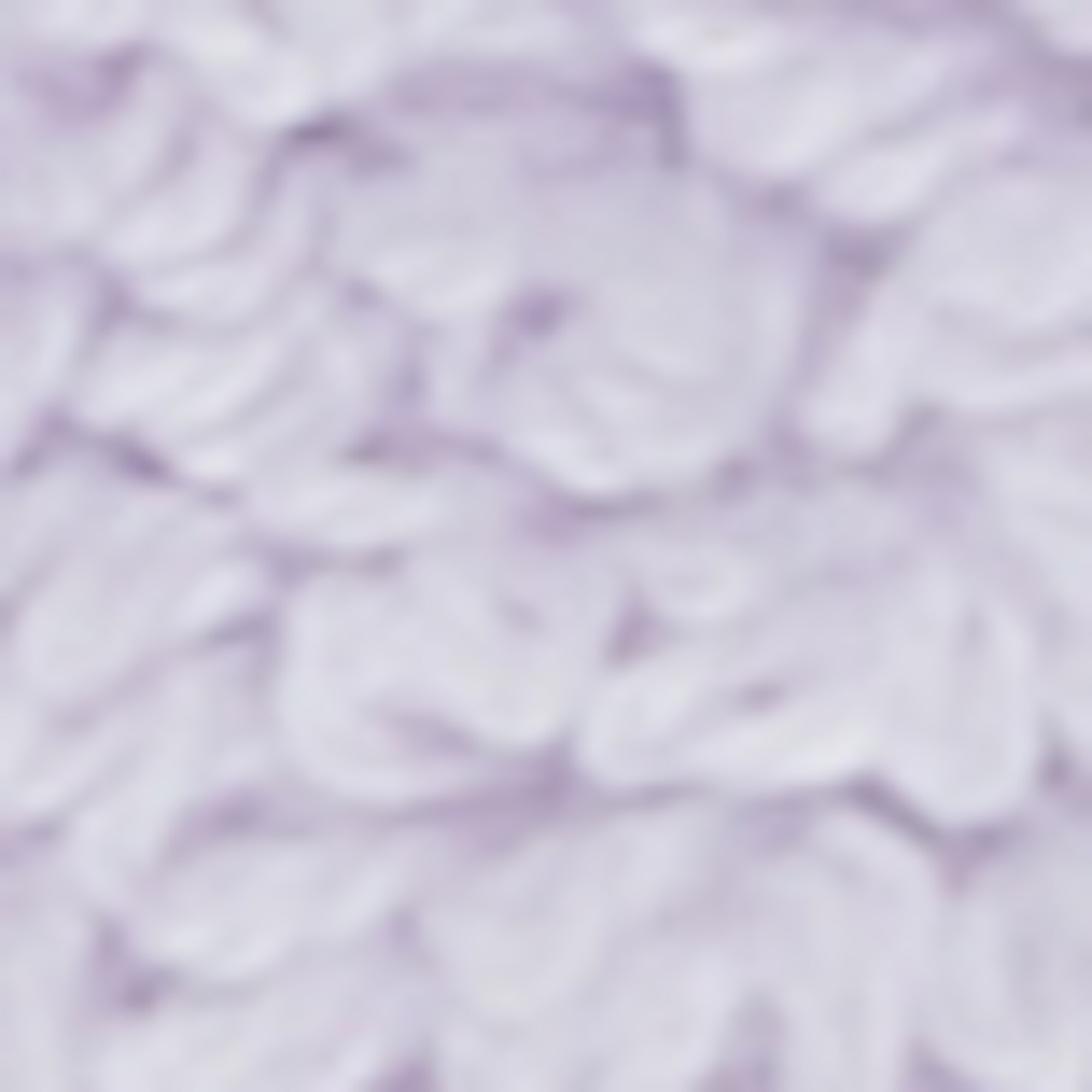 Gästehandtuch Modell TIMELESS aus Organic Cotton Terry