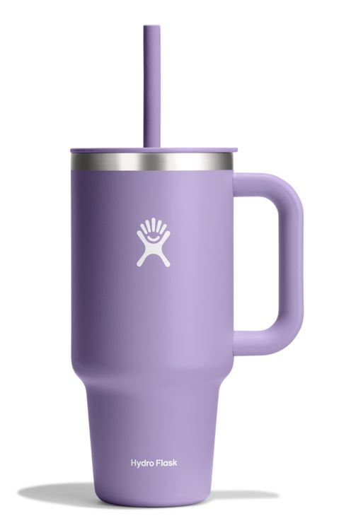 Hydro Flask32oz All Around Travel Tumbler - lila