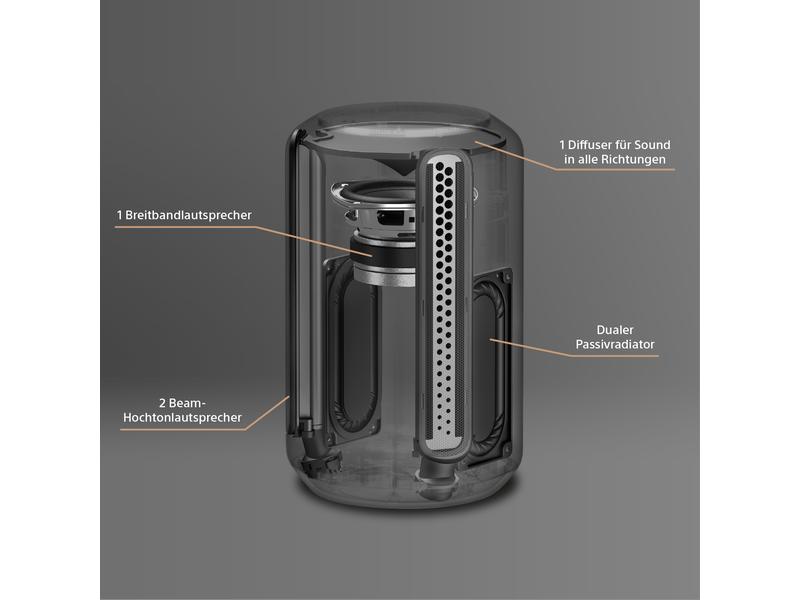 Sony Smart Speaker SRS-RA3000 Schwarz Premium-Lautsprecher für unaufdringlichen raumfüllenden Klang