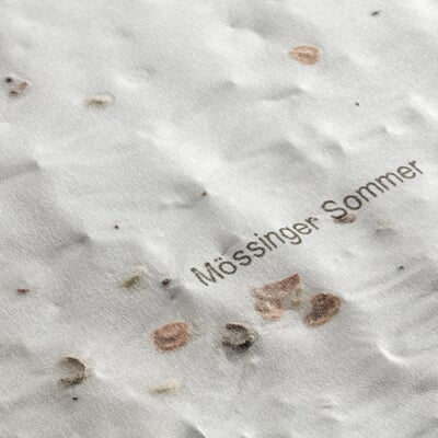 Blumensaatteppich Mössinger Sommer