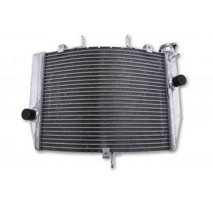 Radiateur Brazoline A EAU ADAPTABLE