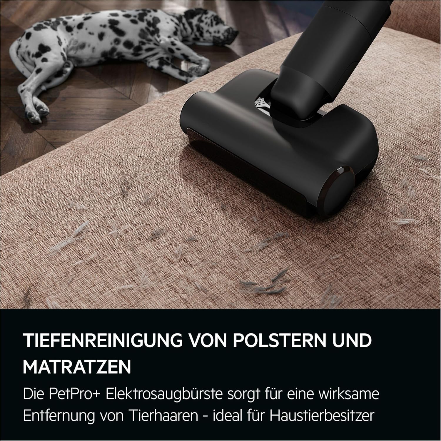 AEG Ultimate 8000 Akku Staubsauger mit Absaugstation, Automatik-verlängert Laufzeit, 5-Stufen Filtration, für Hartboden, Teppich, Tierhaare, 25V Akku wechselbar, 400 ml, Dunkelgrau, AP83AB25DG