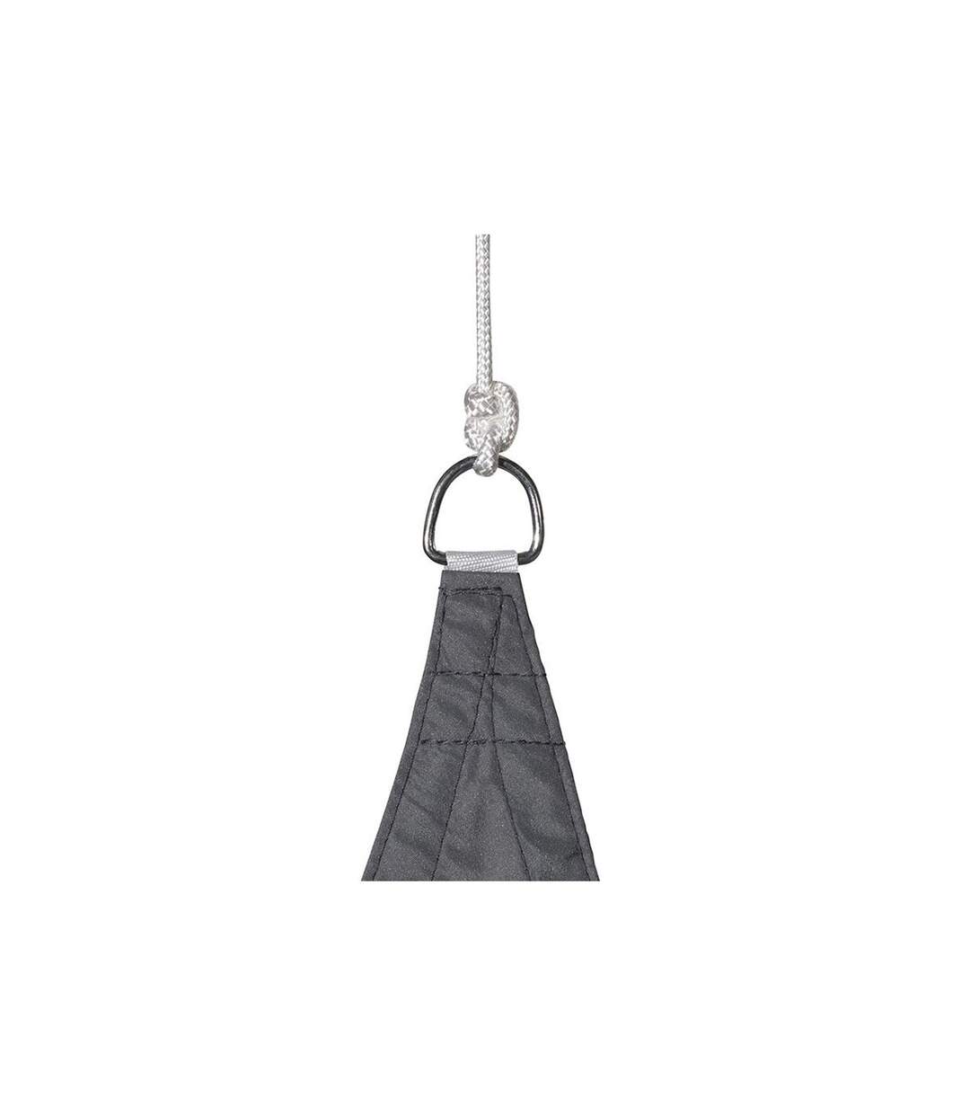 Voile d'ombrage triangulaire Curacao - 4 x 4 x 4 m - Gris