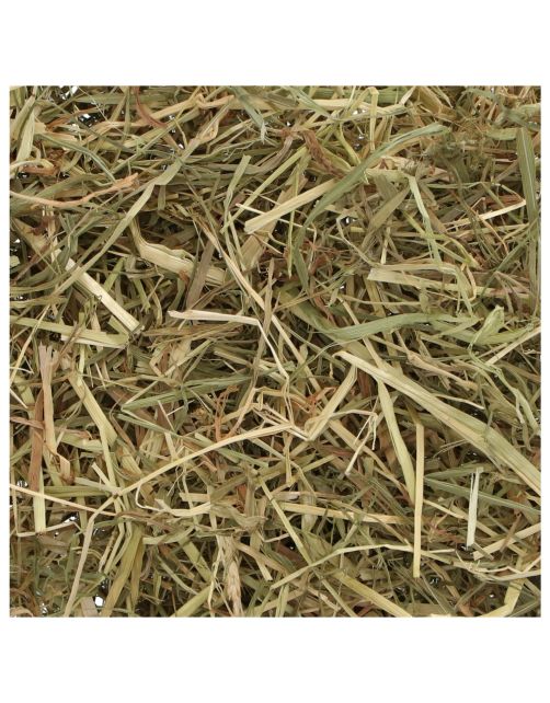 Happy Home Timothy Hooi - Ruwvoer - 500 g