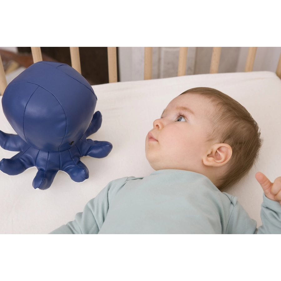 Little Big Friends Die Musiktiere - Octave der Oktopus