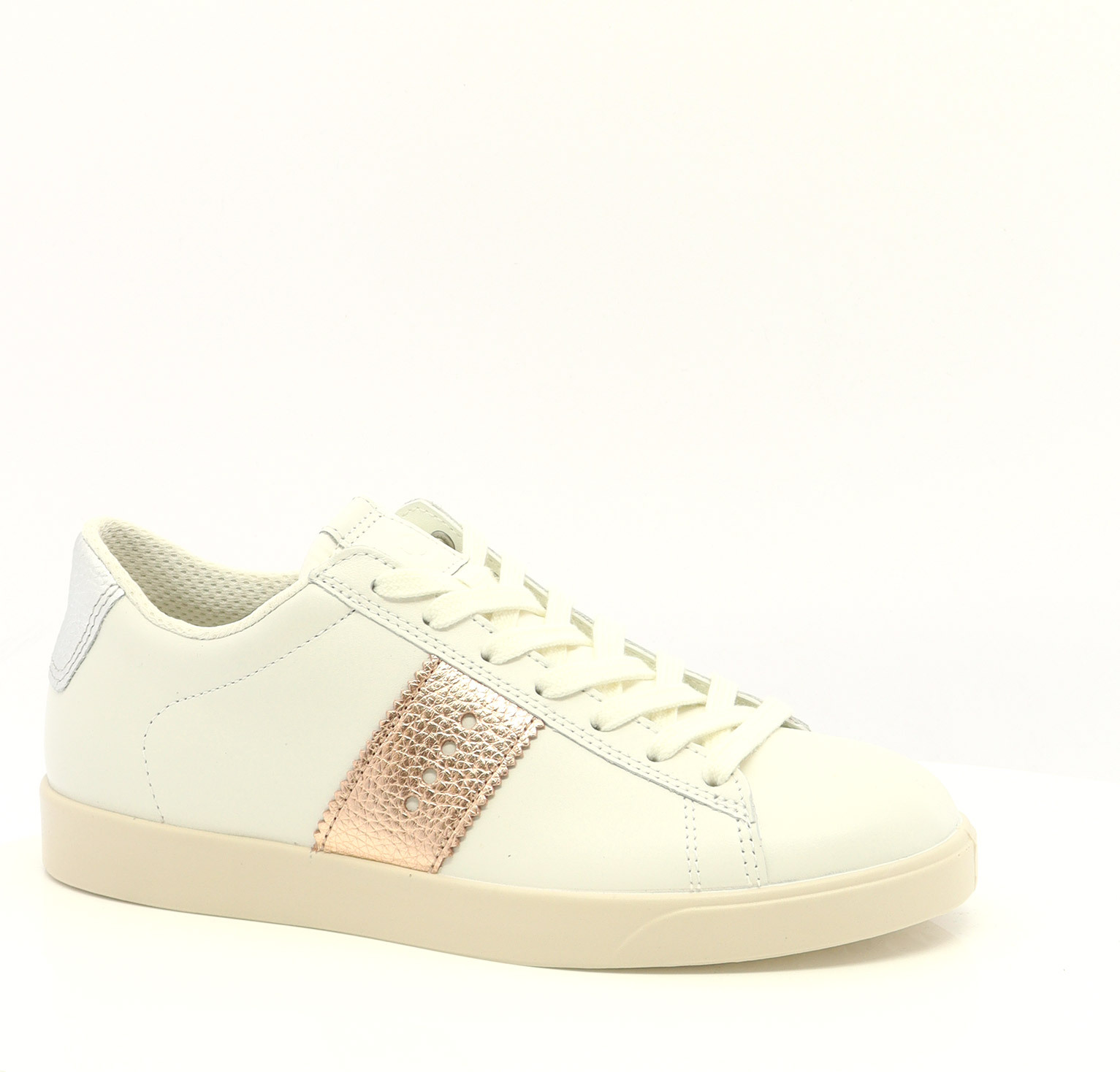 81464 ECCO