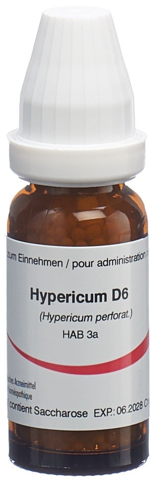 Omida Hypericum Glob 6 D 14 g
