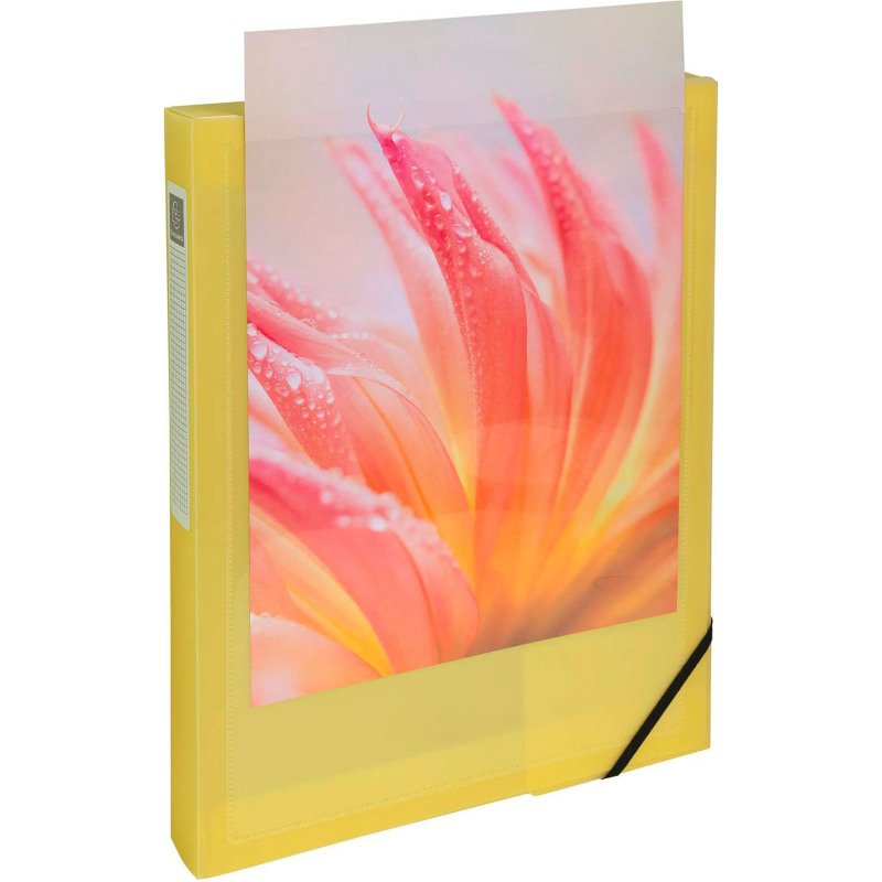 Chemise box plastique personnalisable Exacompta KREACOVER - dos de 4 cm couleurs assorties pastel