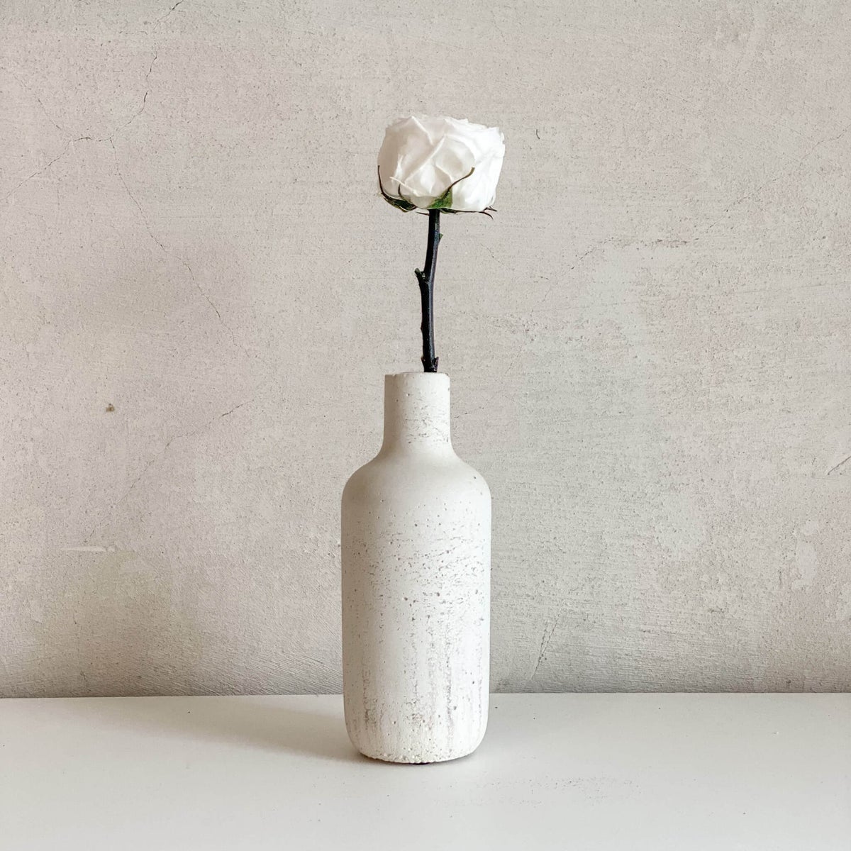 Geconserveerde/gevriesdroogde Engelse rozen: Tijdloze elegantie voor de eeuwigheid - 3 stuks