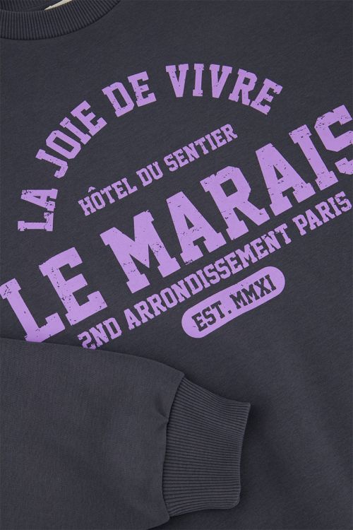 Donkergrijze sweater la joie de vivre