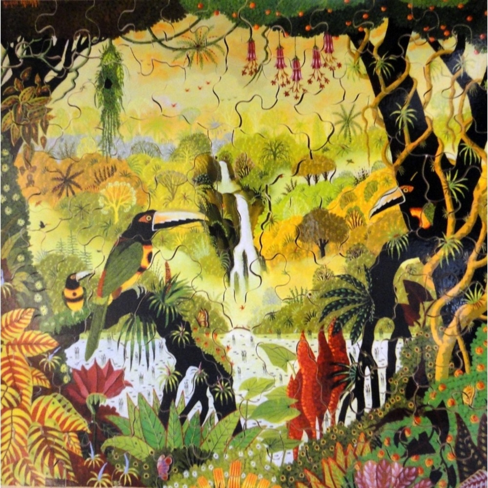 Toucans à la cascade
