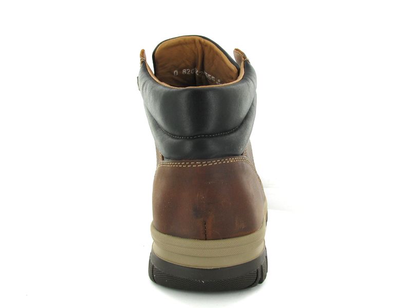 Mephisto Pitt Bruin
