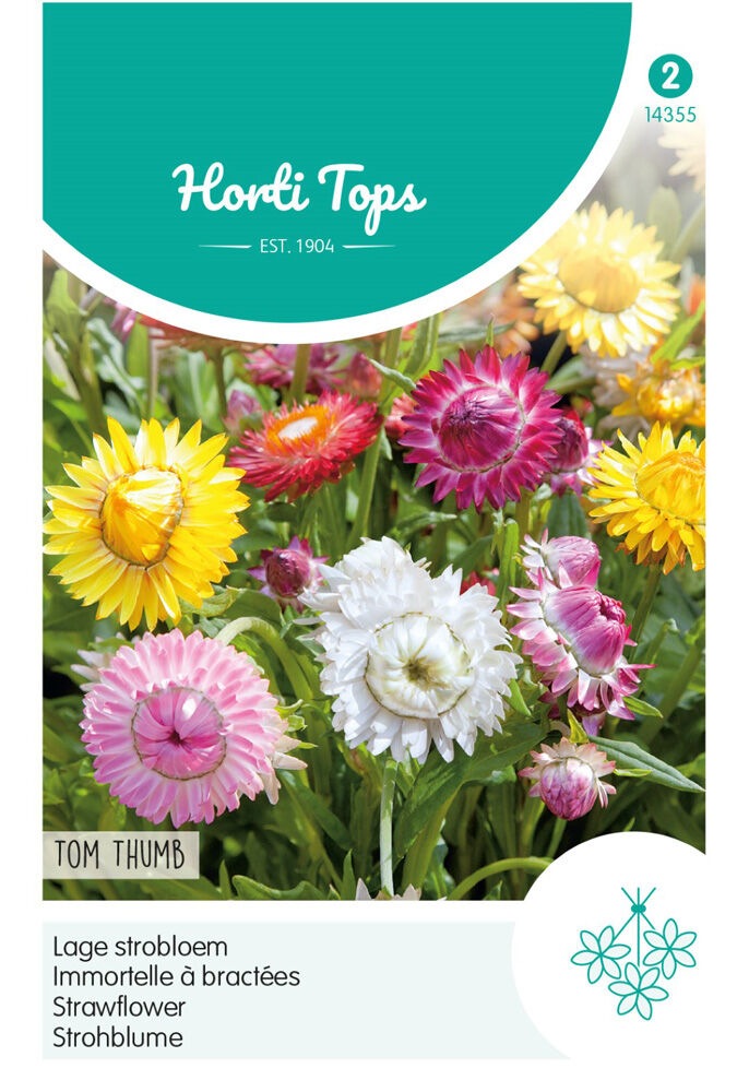 Hortitops Lage Strobloem - Bloemzaden