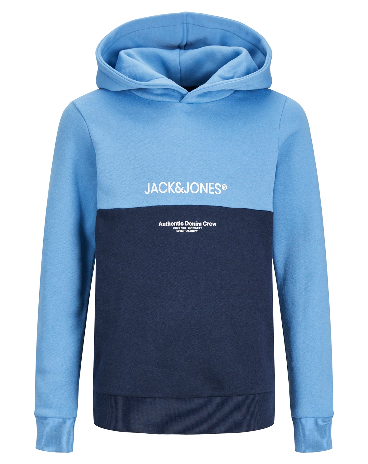 Kapuzen-Sweatshirt JJERYDER BLOCKING in pacific coast
