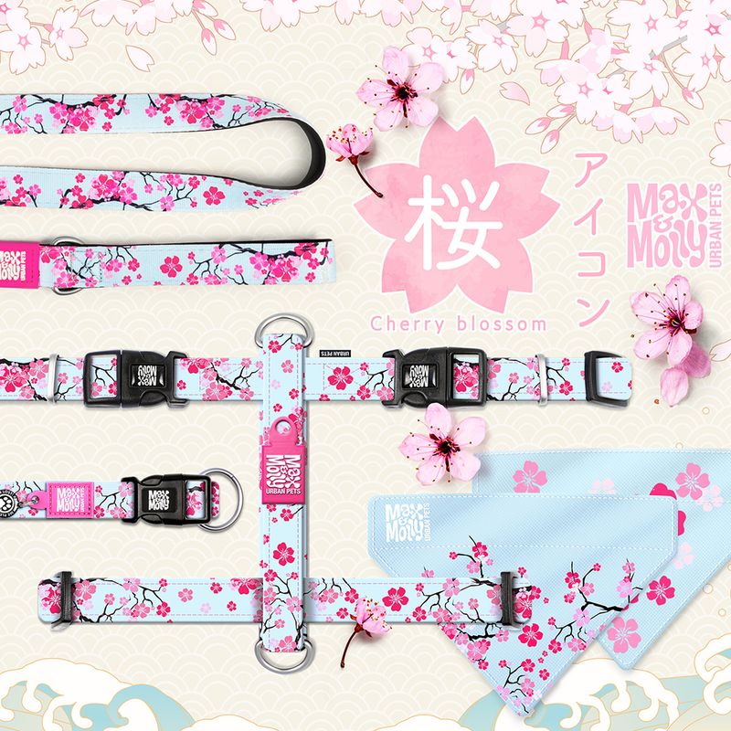 Harnais en H Max & Molly Cherry Bloom