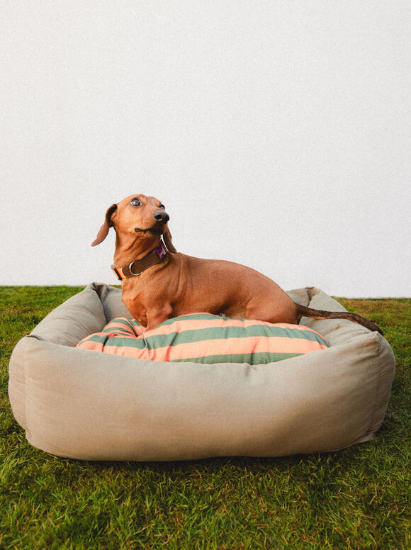 Cama para animais de estimação - Cáqui