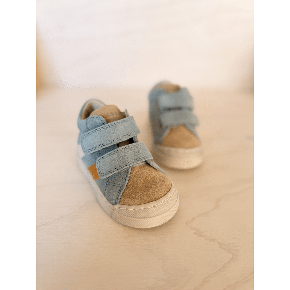 FALCOTTO - Sneaker met stootneus - Gazer